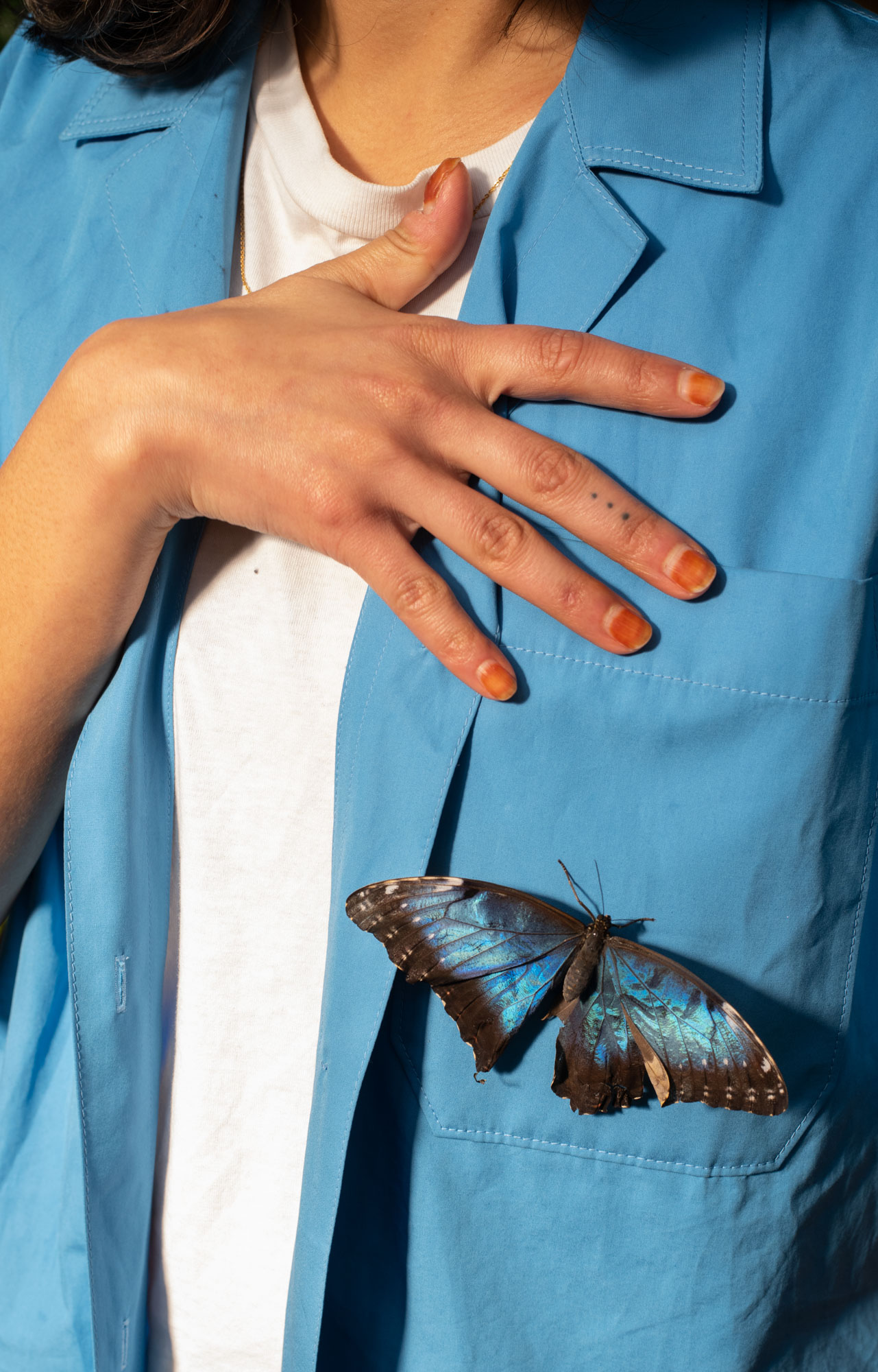 Farah Al Qasimi, Blue Butterfly, 2022; courtesy the artist and François Ghebaly Gallery; © Farah Al Qasimi